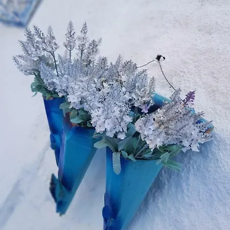 Mavi Ruezgar Alacati (adults Only) 4* Çeşme