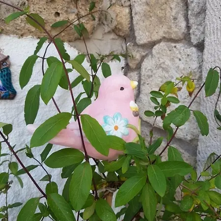 فندق Mavi Ruezgar Alacati (adults Only)